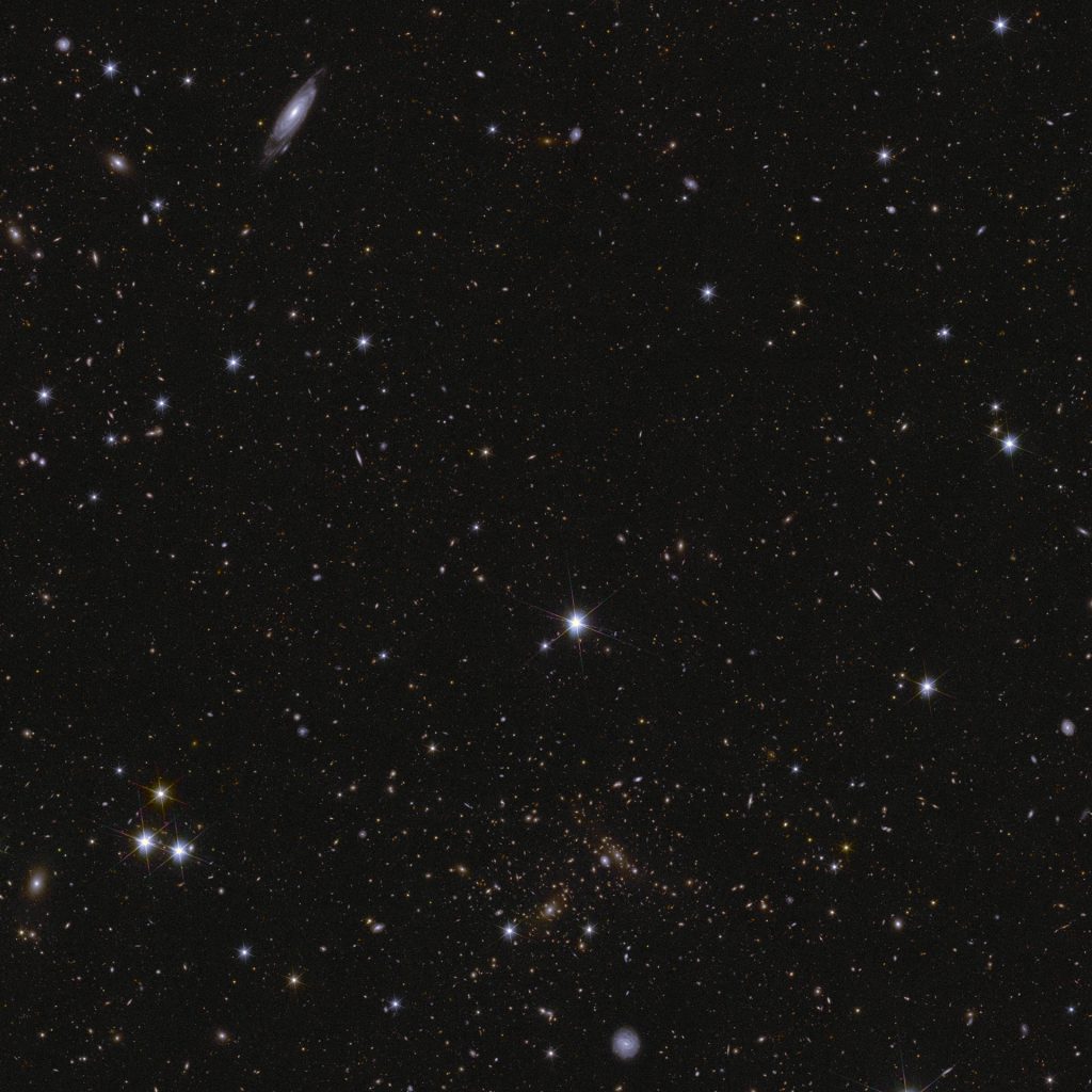 Euclid Deep Field South. Euclid's view of a deep field full of galaxies of different shapes and sizes, and nearby stars.